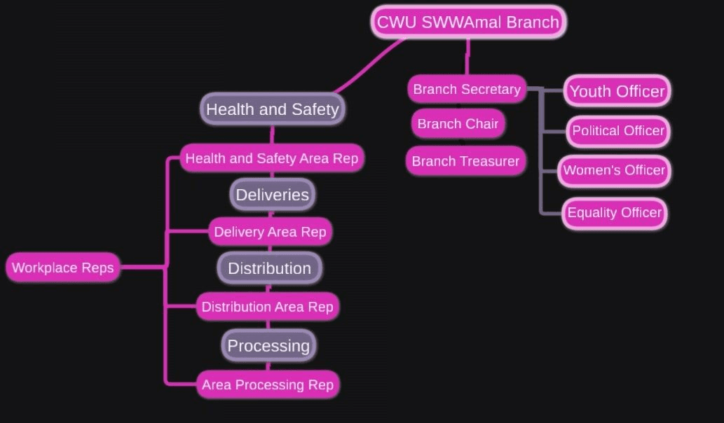 Rep Structure